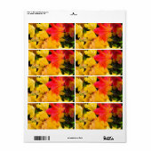 地面に落葉ちるカエデの花 ラベル (フルシート)