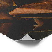 地面に赤葉茶の ポスター (角)