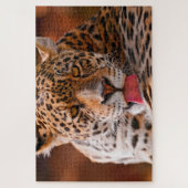 地面に足を洗うヒョウ ジグソーパズル (縦)