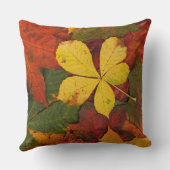 地面を素朴覆う紅葉 クッション (裏面)