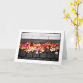 地面カードで歩きました カード (黄色い花)