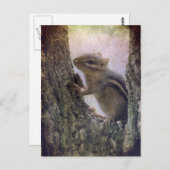 地面リスグランジル ポストカード (正面/裏面)