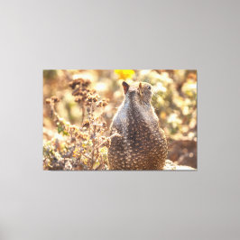 地面リス キャンバスプリント