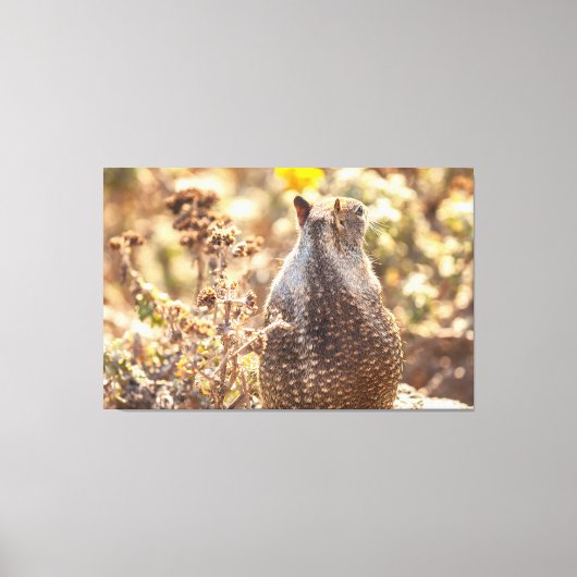 地面リス キャンバスプリント (正面)