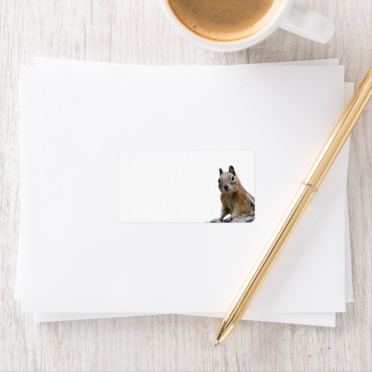 地面リス ラベル (インサイチュ)