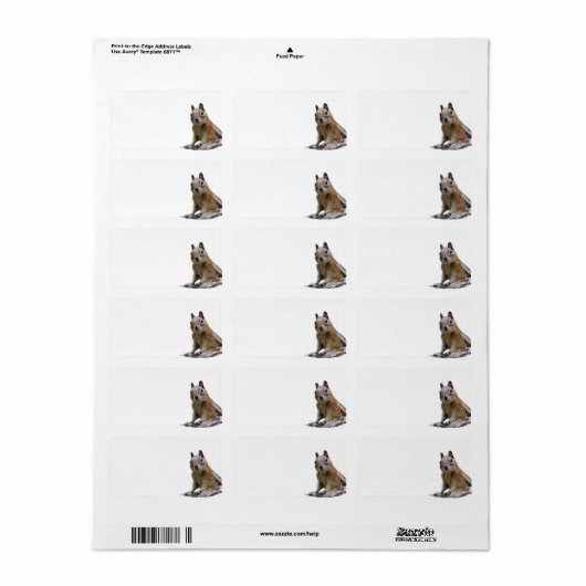 地面リス ラベル (フルシート)