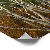 地高さ ポスター (角)