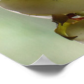 垂れ下がった蘭のポスター ポスター (角)