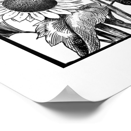 垂直ひまわりアートプリント白黒 ポスター (角)