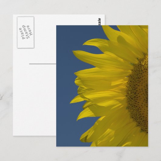 垂直ひまわり ポストカード (正面/裏面)
