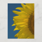 垂直ひまわり ポストカード (正面)