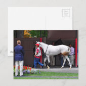 型枠フィッティングフィリーバイタピット ポストカード (正面/裏面)