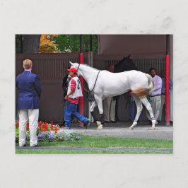 型枠フィッティングフィリーバイタピット ポストカード