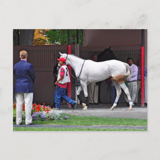 型枠フィッティングフィリーバイタピット ポストカード (正面)