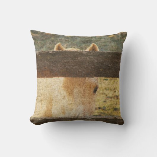 垣根から覗き込む クッション (正面)