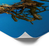 垣根を越えて山を越える ポスター (角)