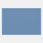 埃っぽいブルーフランスのトイレチノワジェリーラッピング紙 ラッピングペーパーシート (正面2)