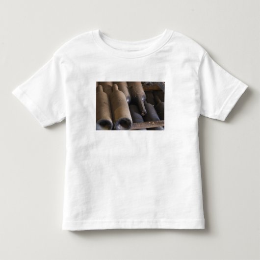 埃っぽい瓶の詳細 ウッドラテの上 トドラーTシャツ (正面)
