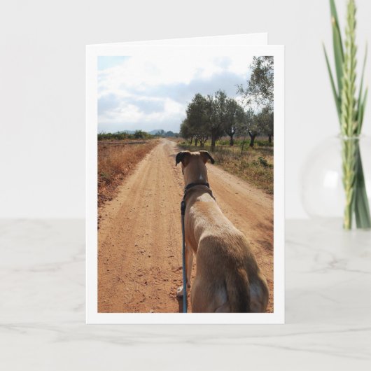 埃まみれの道の犬 カード (正面)