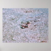 埋没 ポスター (正面)