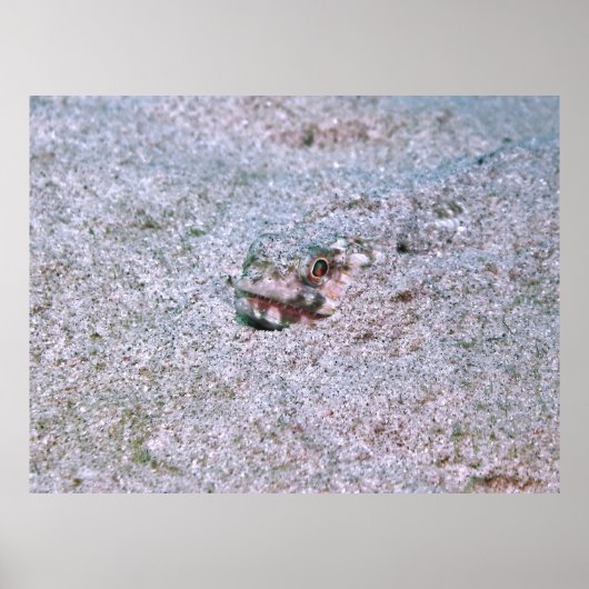 埋没 ポスター (正面)