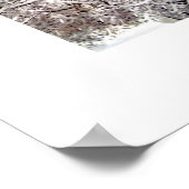 埋葬丘エントランスプリマスMAコラージュ ポスター (角)