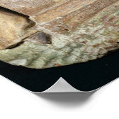 埋葬地 ポスター (角)