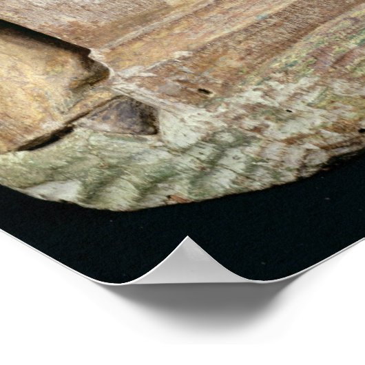 埋葬地 ポスター (角)