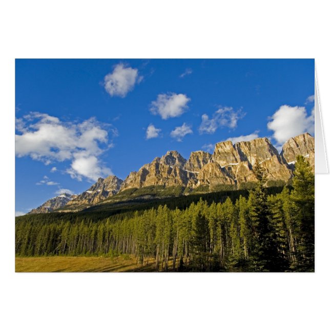 城の崖 (正面横)