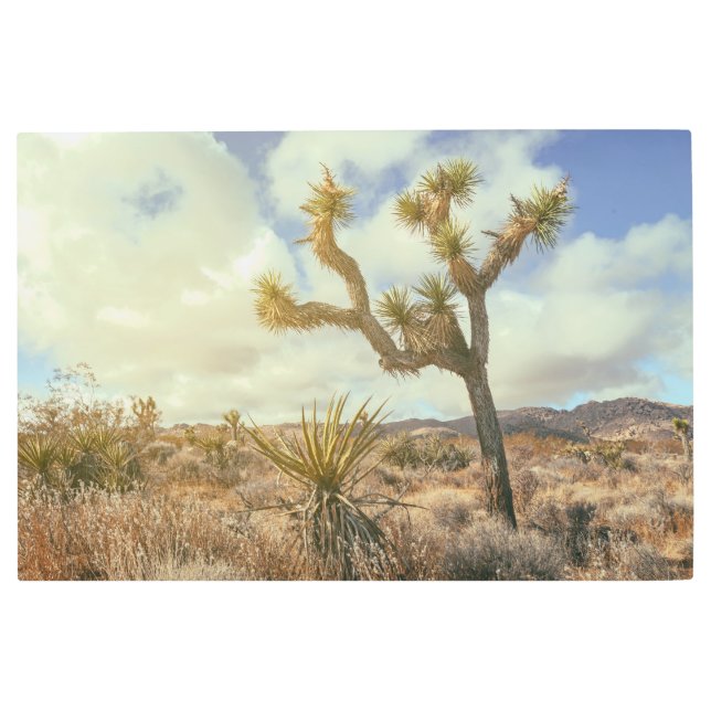 城主木園風景 メタルプリント (正面)