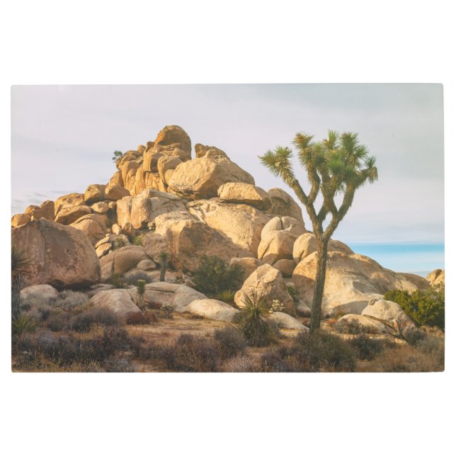 城周木国立公園 メタルプリント (正面)