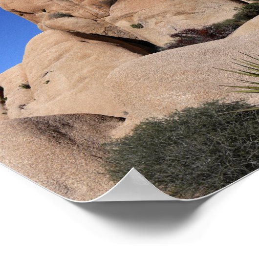 城周樹国立公園の岩 ポスター (角)