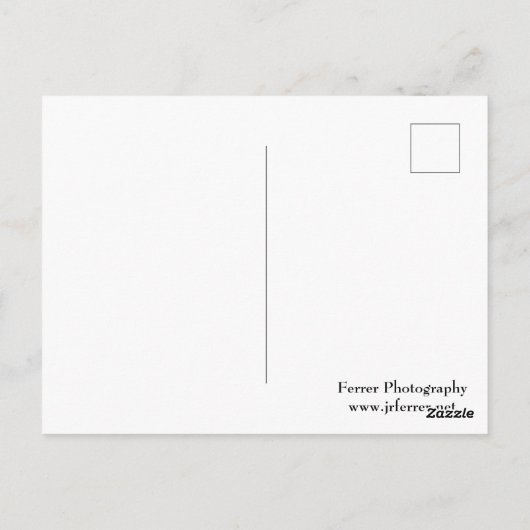 城壁と森 ポストカード (裏面)