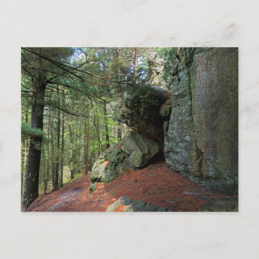 城壁と森 ポストカード (正面)
