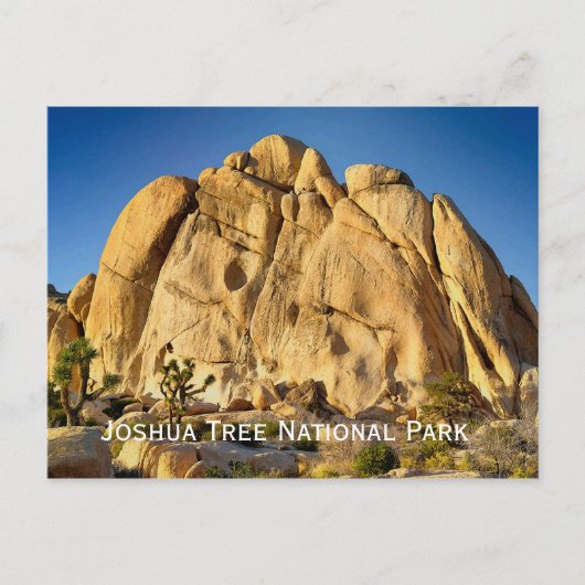 城州立公園葉書 ポストカード (正面)