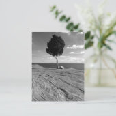 城砦のフェニックス木 ポストカード (スタンド正面)