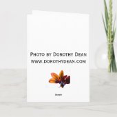 城砦のKamの日没 カード (裏面)