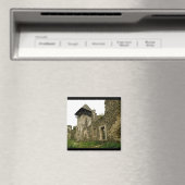 城磁石 マグネット (インサイチュ (食洗機))