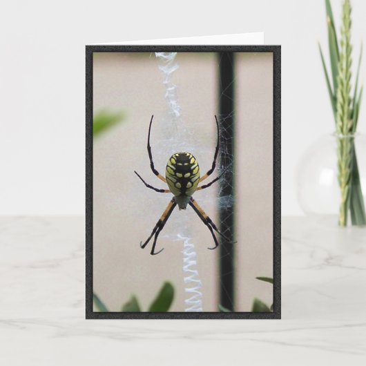 執筆くも カード (正面)