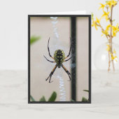 執筆くも カード (黄色い花)