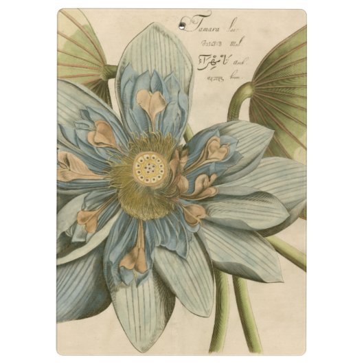 執筆のタンの背景の青のはすの花 クリップボード (裏面)