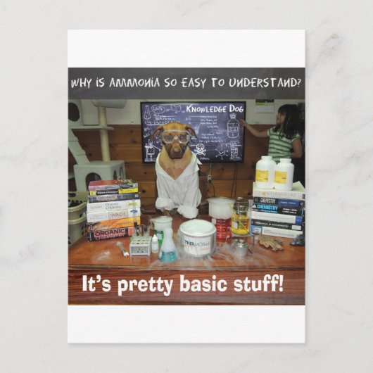 基本アンモニア.jpg ポストカード (正面)