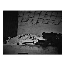 基本ツール フォトプリント           