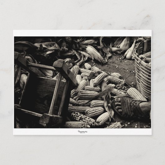 基本ポストカードに戻る ポストカード (正面)