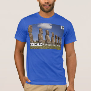 基本的なアメリカの服装のTシャツ Tシャツ