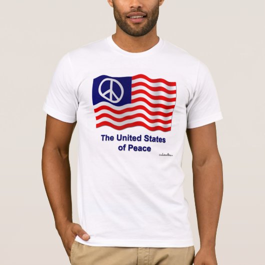 基本的なアメリカの服装のTシャツ Tシャツ (正面)