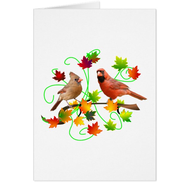 基本的なカップル (正面)