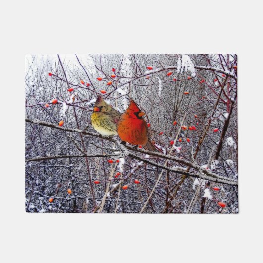 基本的なクリスマスの玄関マット ドアマット (正面)