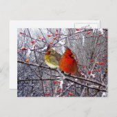 基本的なクリスマスの郵便はがき シーズンポストカード (正面/裏面)