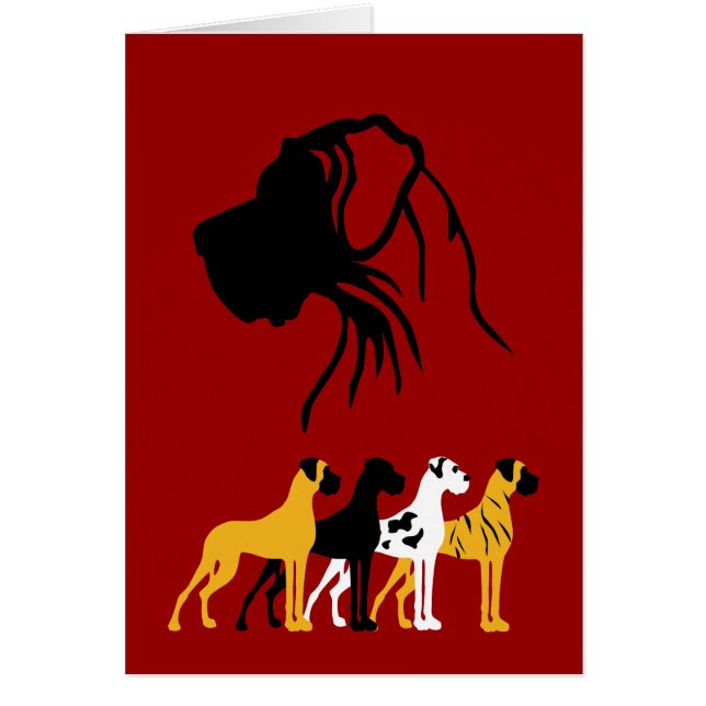 基本的なダネの色 (正面)